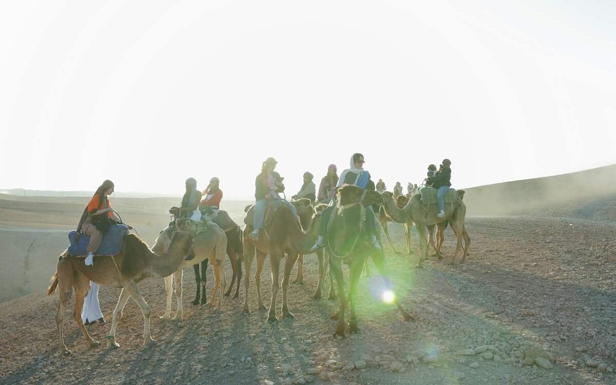 Caravane de dromadaires dans le désert d'Agafay