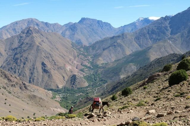 Randonnée avec mulet dans l'Atlas