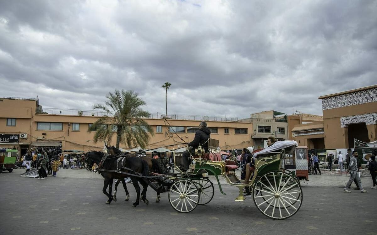 Calèche traditionnelle à Marrakech