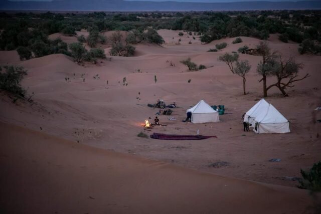 Camp du désert et feu de camp à la tombée de la nuit