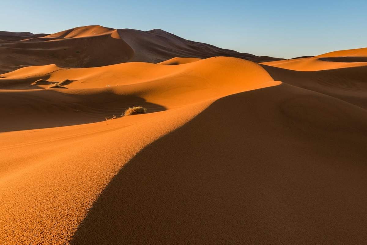 Paysage de dunes du Sahara