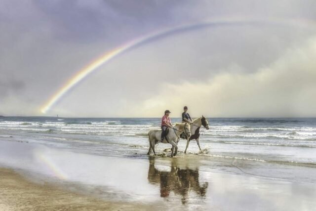Balade à cheval à Essaouira