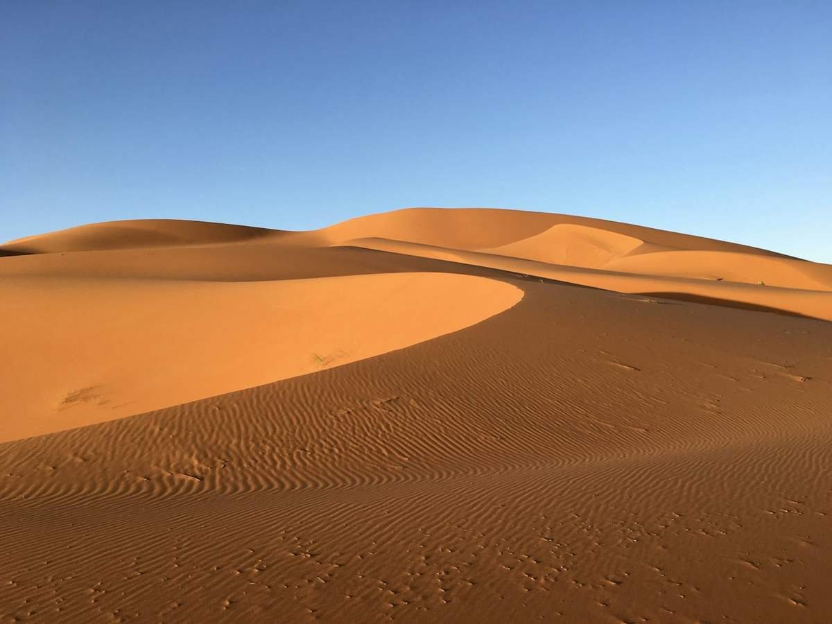 Désert du Sahara