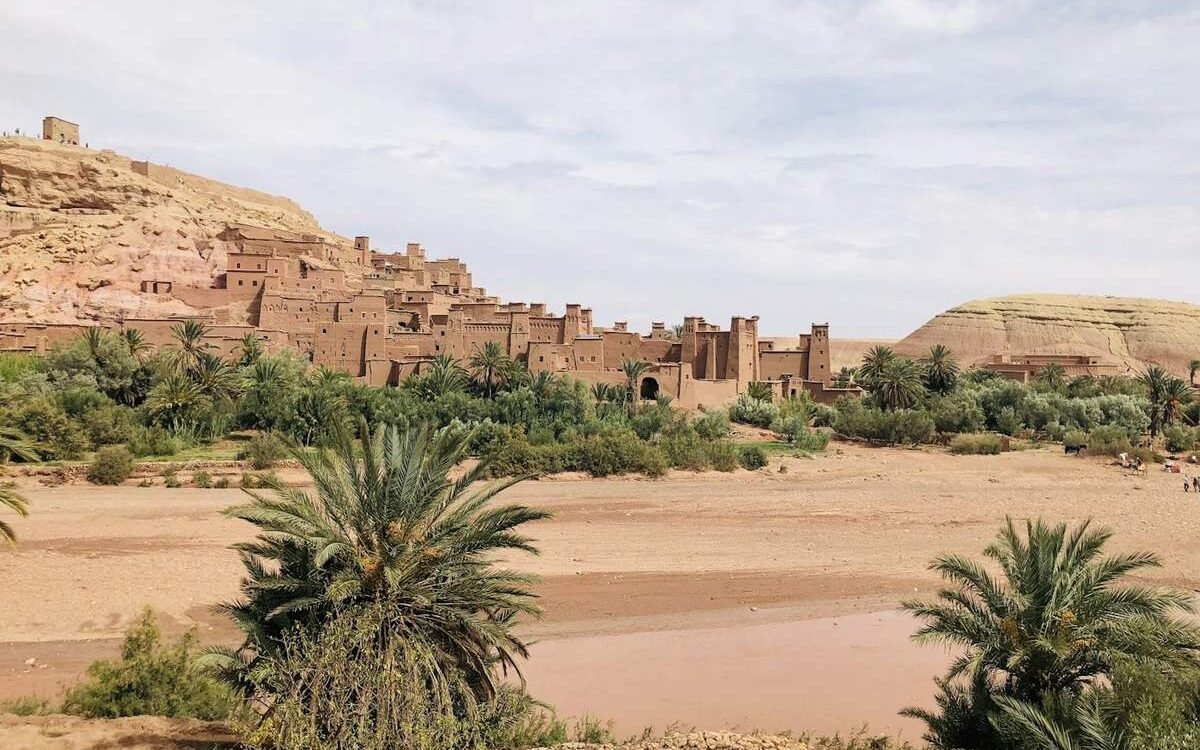 Palmeraie et kasbah dans une oasis